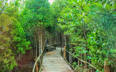 Brother Pat reflects on 15 years in Vocation Ministry