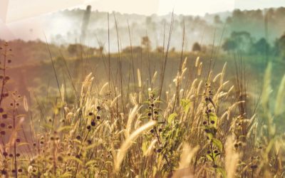 Video Tribute by Marie Dunne CHF to Front Line Workers