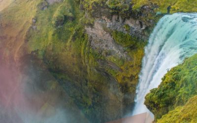 You Will Be My Witnesses by Marie Dunne CHF